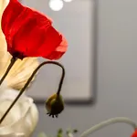 Il Tocco Di Eva